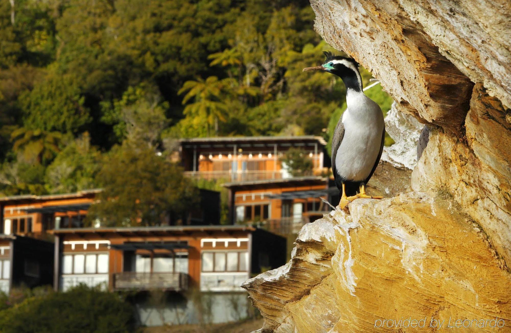 Hotel Bay Of Many Coves Arthur's Bay Exterior foto